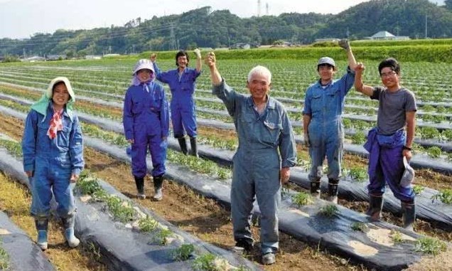 日本勞務(wù)派遣農(nóng)業(yè)類、食品加工、建筑業(yè)、電子業(yè)招聘